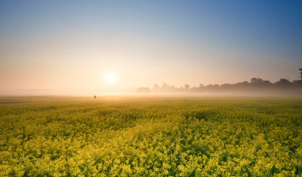 Travel Destinations - Eco Escape, eco-friendly places, Majuli - Assam