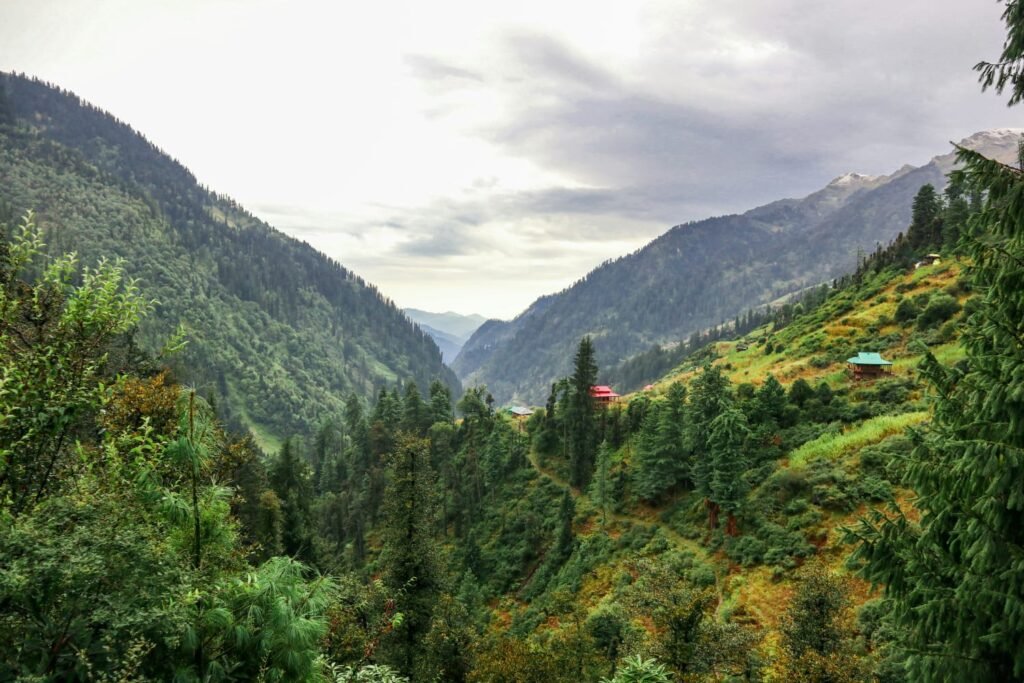 Travel Destinations - Eco Escape, forest and mountain retreats, Jibhi - Himachal Pradesh