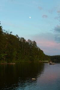 Mindful Travel Tips - Eco Escape, Travel Destinations - Eco Escape, lake near the forest, boat
