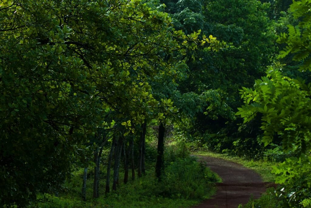 Travel Destinations - Eco Escape, eco-friendly places, healing through travel