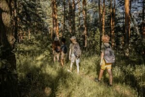 Travel Destinations - Eco Escape, people exploring the forest, travelling